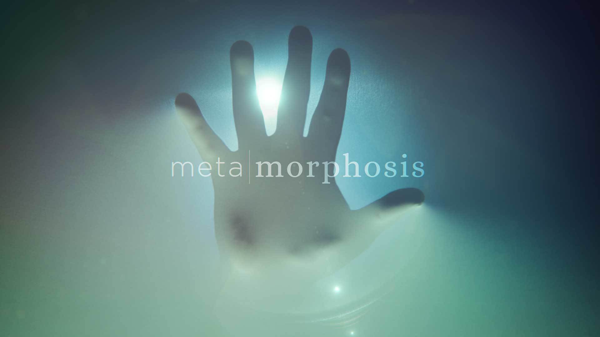 Metamorphosis-1920x1080-web-4.jpg